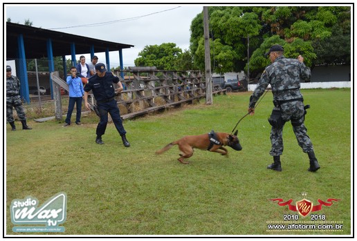 rolim de moura